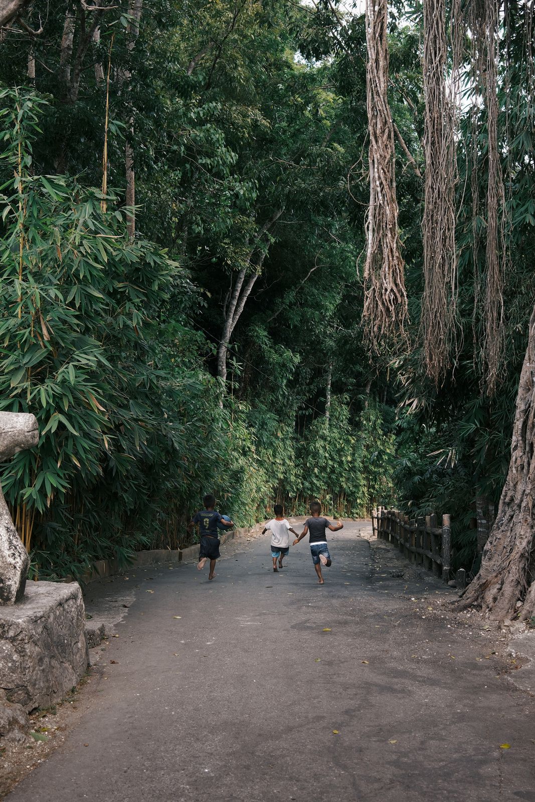 Children walking a dirt road under tall trees